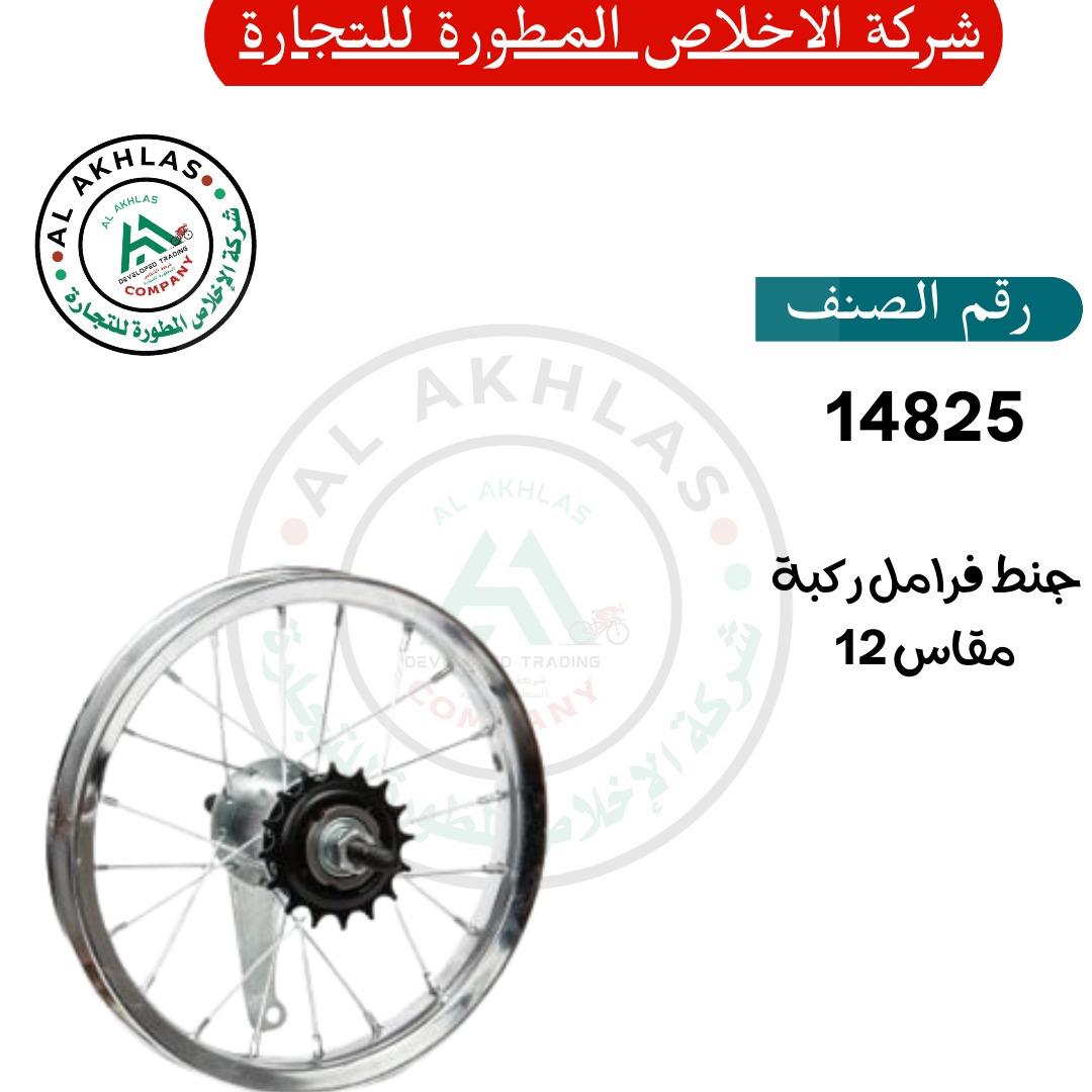 Size 12 Coaster Brake Rim (Item No. 14825)