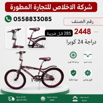 Cobra 24 bicycle